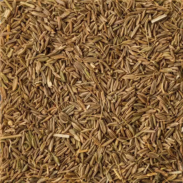 background-texture-dried-cumin-seeds-top-view_600x600.webp