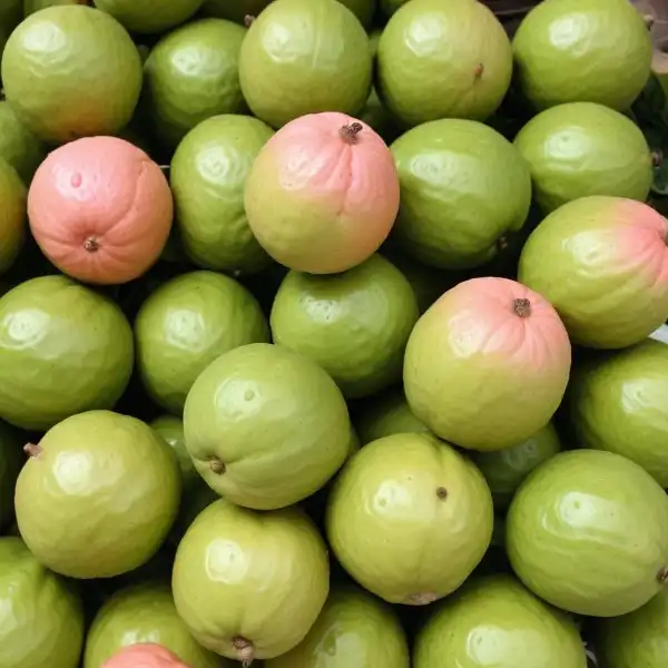 freepik__fresh-guava__1934_600x600.webp