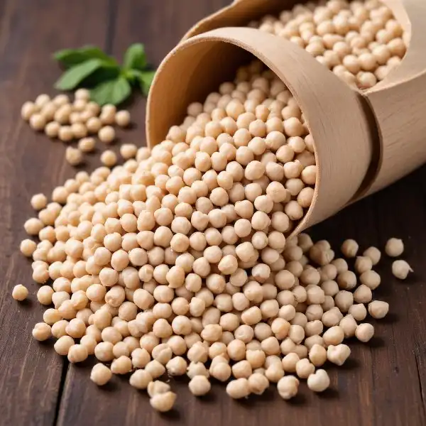 freepik__raw-white-chickpeas__36063_600x600.webp